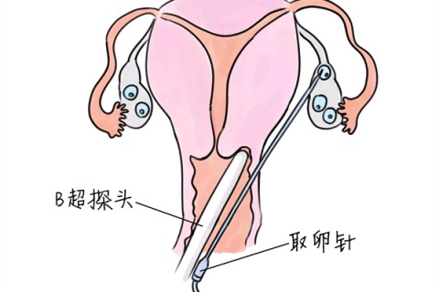http://guangzhou.huochezhan.net/post/205.html|广州供卵助孕