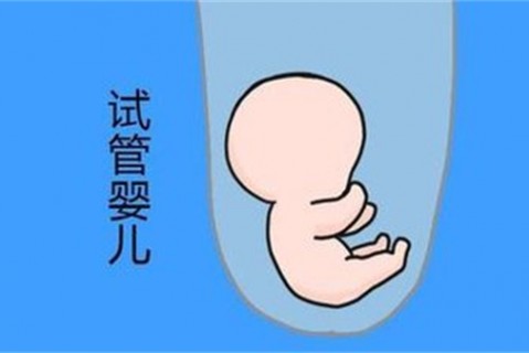 培养广州捐卵宝宝艺术细胞的小技巧